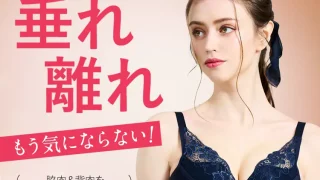 PGブラ